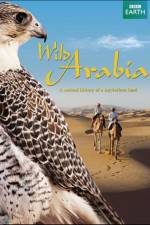Watch Wild Arabia Viooz