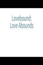Watch Lovebound: Love Abounds Viooz