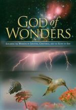 Watch God of Wonders Viooz