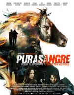 Watch Purasangre Viooz