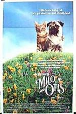 Watch Milo & Otis Viooz