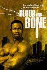 Watch Blood and Bone Viooz