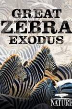 Watch Nature: Great Zebra Exodus Viooz