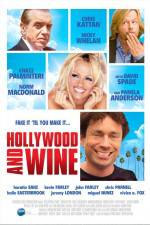 Watch Hollywood & Wine Viooz