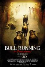 Watch Encierro 3D: Bull Running in Pamplona Viooz