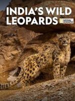 Watch India\'s Wild Leopards (Short 2020) Viooz