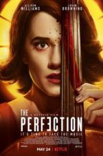 Watch The Perfection Viooz