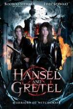 Watch Hansel & Gretel: Warriors of Witchcraft Viooz