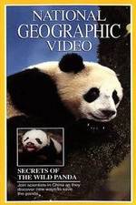Watch Secrets of the Wild Panda Viooz