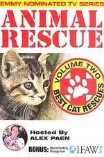 Watch Animal Rescue, Volume 2: Best Cat Rescues Viooz
