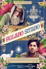 Watch Gulabo Sitabo Viooz