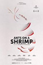 Watch Ants on a Shrimp Viooz
