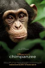 Watch Chimpanzee Viooz