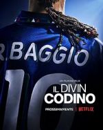 Watch Baggio: The Divine Ponytail Viooz