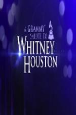Watch We Will Always Love You A Grammy Salute to Whitney Houston Viooz