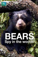 Watch Bears: Spy in the Woods Viooz