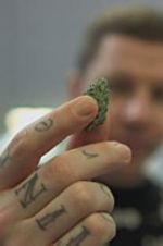 Watch Professor Green: Is It Time to Legalise Weed? Viooz
