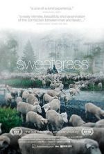 Watch Sweetgrass Viooz