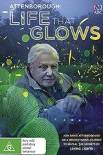 Watch Attenborough\'s Life That Glows Viooz