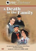 Watch A Death in the Family Viooz
