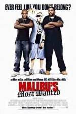 Watch Malibu's Most Wanted Viooz
