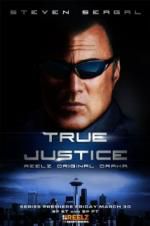 Watch True Justice: Brotherhood Viooz