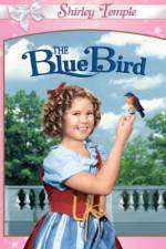 Watch The Blue Bird Viooz