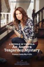 Watch A Bundle of Trouble: An Aurora Teagarden Mystery Viooz
