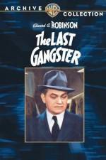 Watch The Last Gangster Viooz