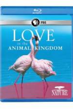 Watch Nature: Love in the Animal Kingdom Viooz
