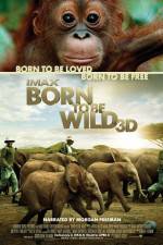 Watch Born to Be Wild Viooz