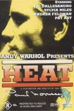 Watch Andy Warhol's Heat Viooz