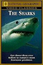 Watch National Geographic The Sharks Viooz