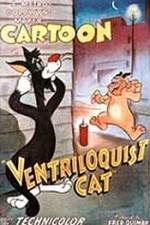 Watch Ventriloquist Cat Viooz