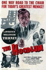 Watch The Hoodlum Viooz