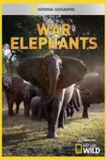 Watch War Elephants Viooz