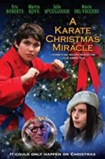 Watch A Karate Christmas Miracle Viooz