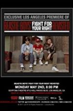 Watch Beastie Boys: Fight for Your Right Revisited Viooz