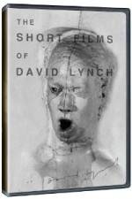 Watch The Short Films of David Lynch Viooz