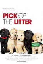 Watch Pick of the Litter Viooz