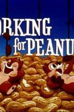 Watch Working For Peanuts Viooz