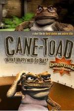 Watch Cane-Toad What Happened to Baz Viooz