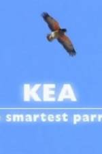 Watch Kea - The Smartest Parrot Viooz