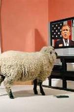 Watch Educating The Sheeple Viooz