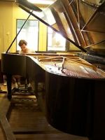 Watch Note by Note: The Making of Steinway L1037 Viooz