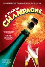 Watch A Year in Champagne Viooz