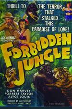 Watch Forbidden Jungle Viooz