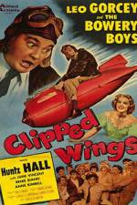 Watch Clipped Wings Viooz