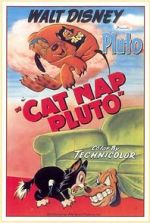 Watch Cat Nap Pluto Viooz