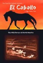 Watch El Caballo: The Wild Horses of North America Viooz